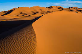 Les dunes en buggy avec all events motors